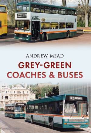 Mead, A: Grey-Green de Andrew Mead