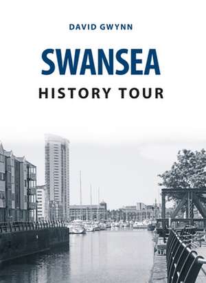 Gwynn, D: Swansea History Tour de David Gwynn