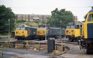 Shed Bashing in the 1970s and 1980s de Colin Alexander