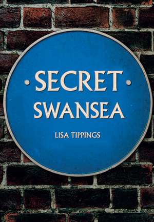 Secret Swansea de Lisa Tippings