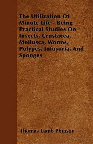 The Utilization Of Minute Life - Being Practical Studies On Insects, Crustacea, Mollusca, Worms, Polypes, Infusoria, And Sponges de Thomas Lamb Phipson