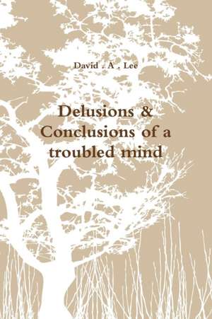 Delusions & Conclusions of a troubled mind de David . A . Lee