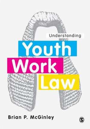 Understanding Youth Work Law de Brian P. McGinley