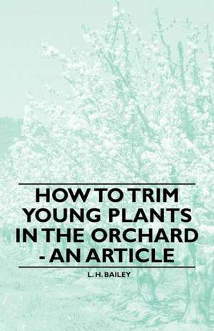 How to Trim Young Plants in the Orchard - An Article de L. H. Bailey