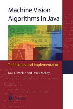 Machine Vision Algorithms in Java: Techniques and Implementation de Paul F. Whelan