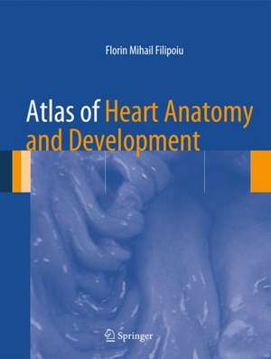 Atlas of Heart Anatomy and Development de Florin Mihail Filipoiu