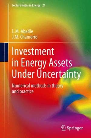 Investment in Energy Assets Under Uncertainty: Numerical methods in theory and practice de L.M. Abadie