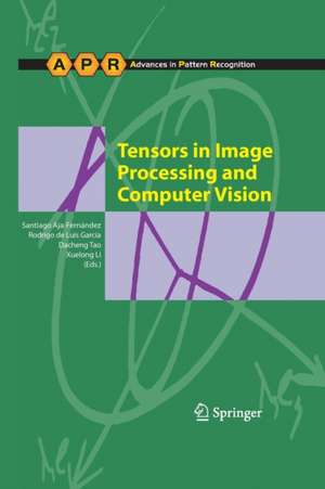 Tensors in Image Processing and Computer Vision de Santiago Aja-Fernández