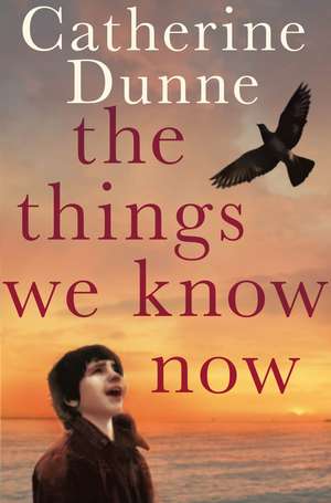 The Things We Know Now de Catherine Dunne