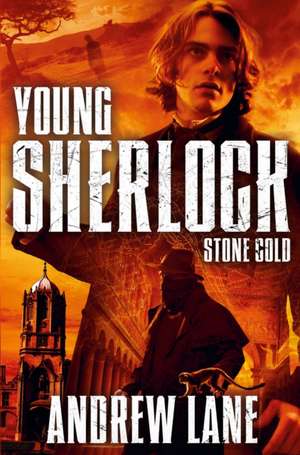 Stone Cold de Andrew Lane