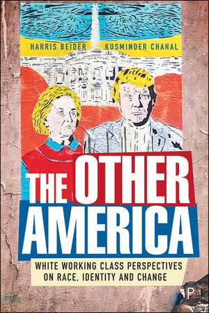 The Other America: White Working Class Perspectives on Race, Identity and Change de Harris Beider