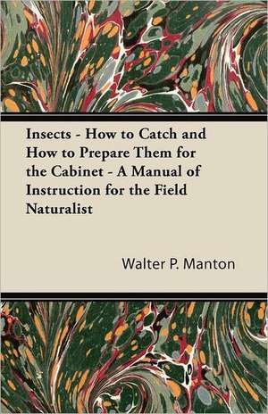 Insects - How to Catch and How to Prepare Them for the Cabinet - A Manual of Instruction for the Field Naturalist de Walter P. Manton