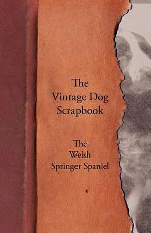 The Vintage Dog Scrapbook - The Welsh Springer Spaniel de various