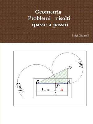 Geometria, Problemi Risolti (Passo a Passo) de Luigi Giannelli