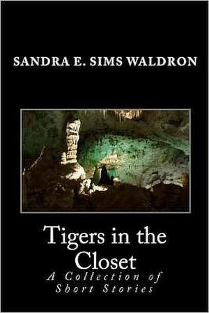 Tigers in the Closet: A Collection of Short Stories de Sandra E. Sims Waldron