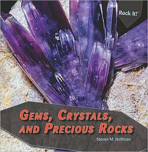 Gems, Crystals, and Precious Rocks de Steven M. Hoffman