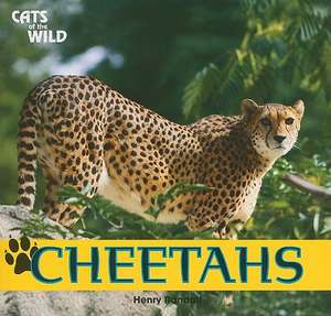 Cheetahs de Henry Randall