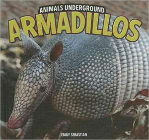 Armadillos de Emily Sebastian