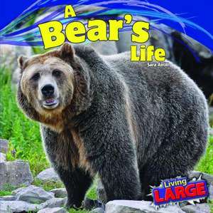 A Bear's Life de Sara Antill