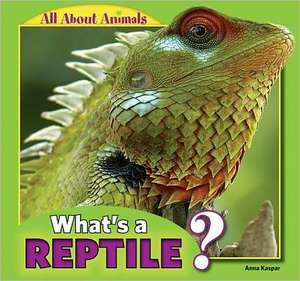 What's a Reptile? de Anna Kaspar