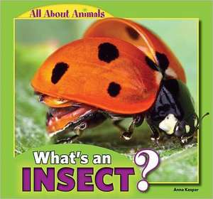 What's an Insect?: From War to Peace? de Anna Kaspar