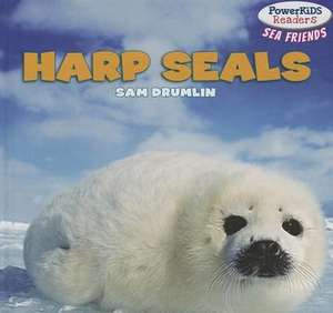 Harp Seals de Sam Drumlin