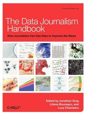 The Data Journalism Handbook de Jonathan Gray