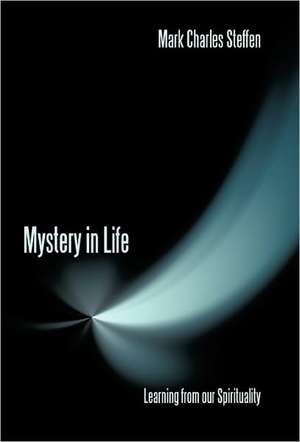 Mystery in Life de Mark Charles Steffen