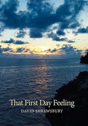 That First Day Feeling de David Shrewsbury