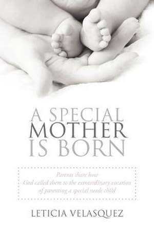 A Special Mother Is Born de Leticia Velasquez