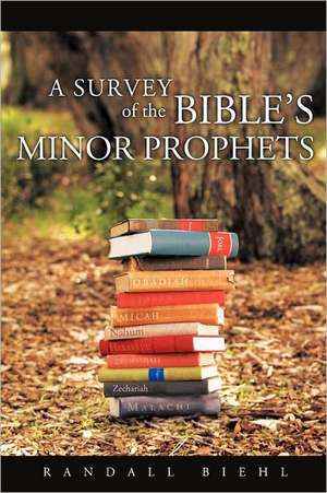 A Survey of the Bible's Minor Prophets de Randall Biehl