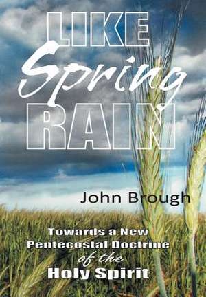 Like Spring Rain de John Brough