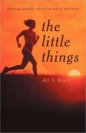 The Little Things de Ali S. Black