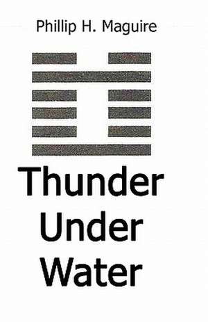 Thunder Under Water: How American Pay-TV Conquered the Continent de Phillip H. Maguire