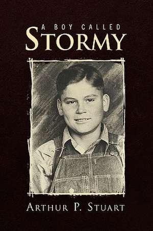 A Boy Called Stormy de Arthur P. Stuart