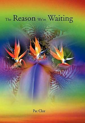 The Reason We're Waiting de Pat Clor