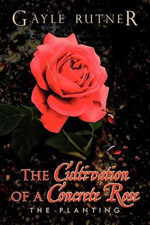 The Cultivation of a Concrete Rose de Gayle Rutner