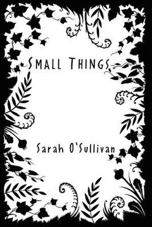 Small Things de Sarah O'Sullivan