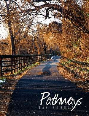 Pathways de Ray Bohdan