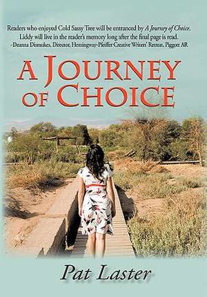 A Journey of Choice de Pat Laster