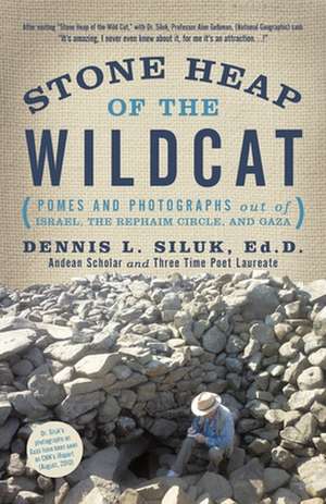 Stone Heap of the Wildcat de Dennis L. Siluk Ed D.