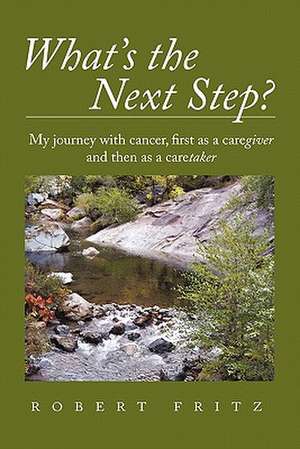 What's the Next Step? de Robert Fritz