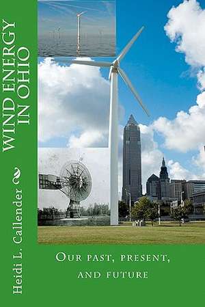 Wind Energy in Ohio de Heidi L. Callender