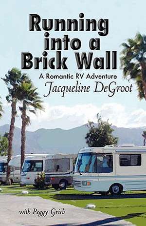 Running Into a Brick Wall de Jacqueline DeGroot