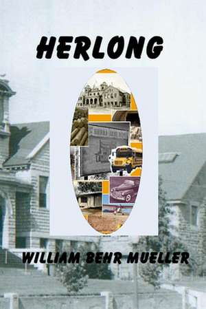 Herlong: What Every Employee Must Know about Securing Their Income & Their Future in Today's Changing Work Environment de Mueller, William Behr