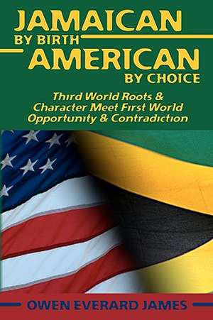 Jamaican by Birth American by Choice: The Art of Creating Wealth de Owen James