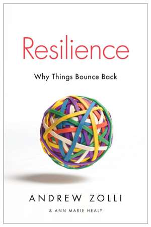 Resilience: Why Things Bounce Back de Andrew Zolli