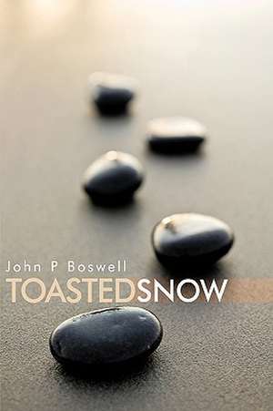 Toasted Snow de John P. Boswell