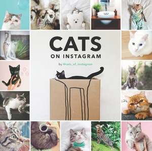 Cats on Instagram de @cats_of_instagram