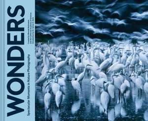 Wonders de Rhonda Rubinstein